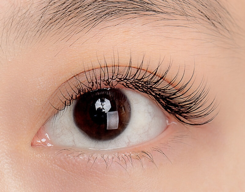 Cận cảnh sợi mi lông vũ siêu thực tại Nanky Beauty